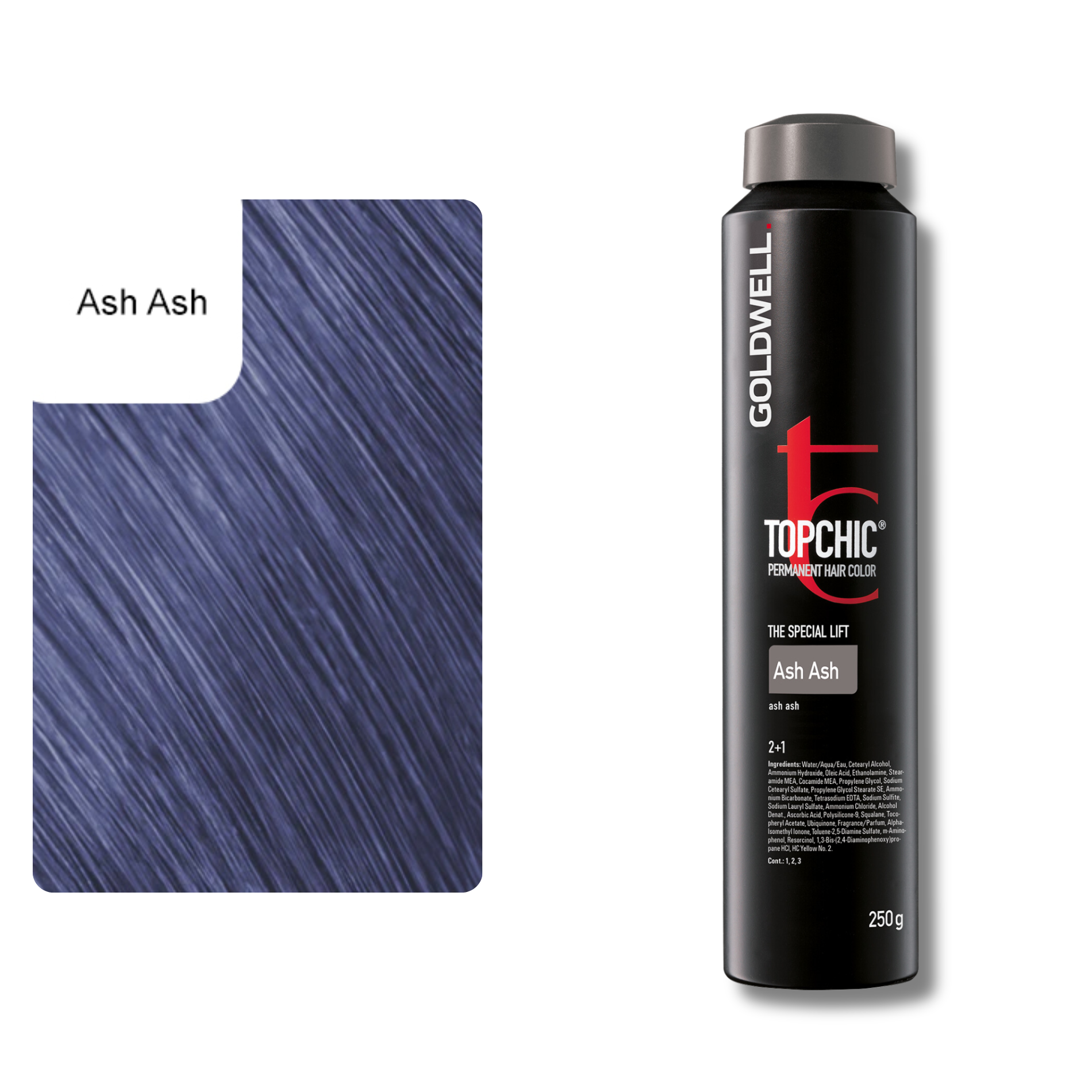 CT-10024.1_CT-10024.61_Goldwell Topchic Depot - ash ash