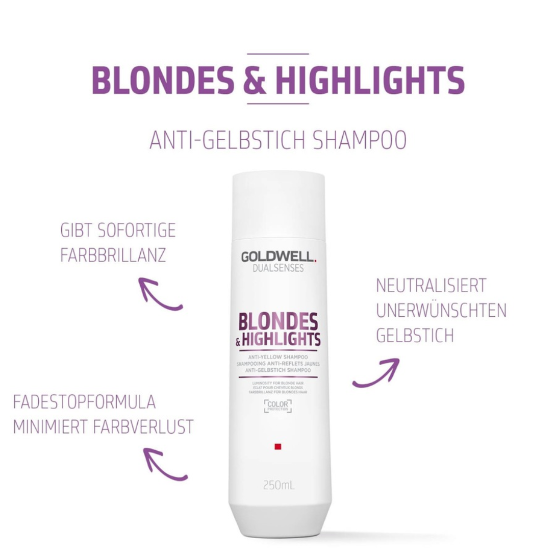 Goldwell Dualsenses Blondes & Highlights Shampooing Anti Reflets Jaunes 