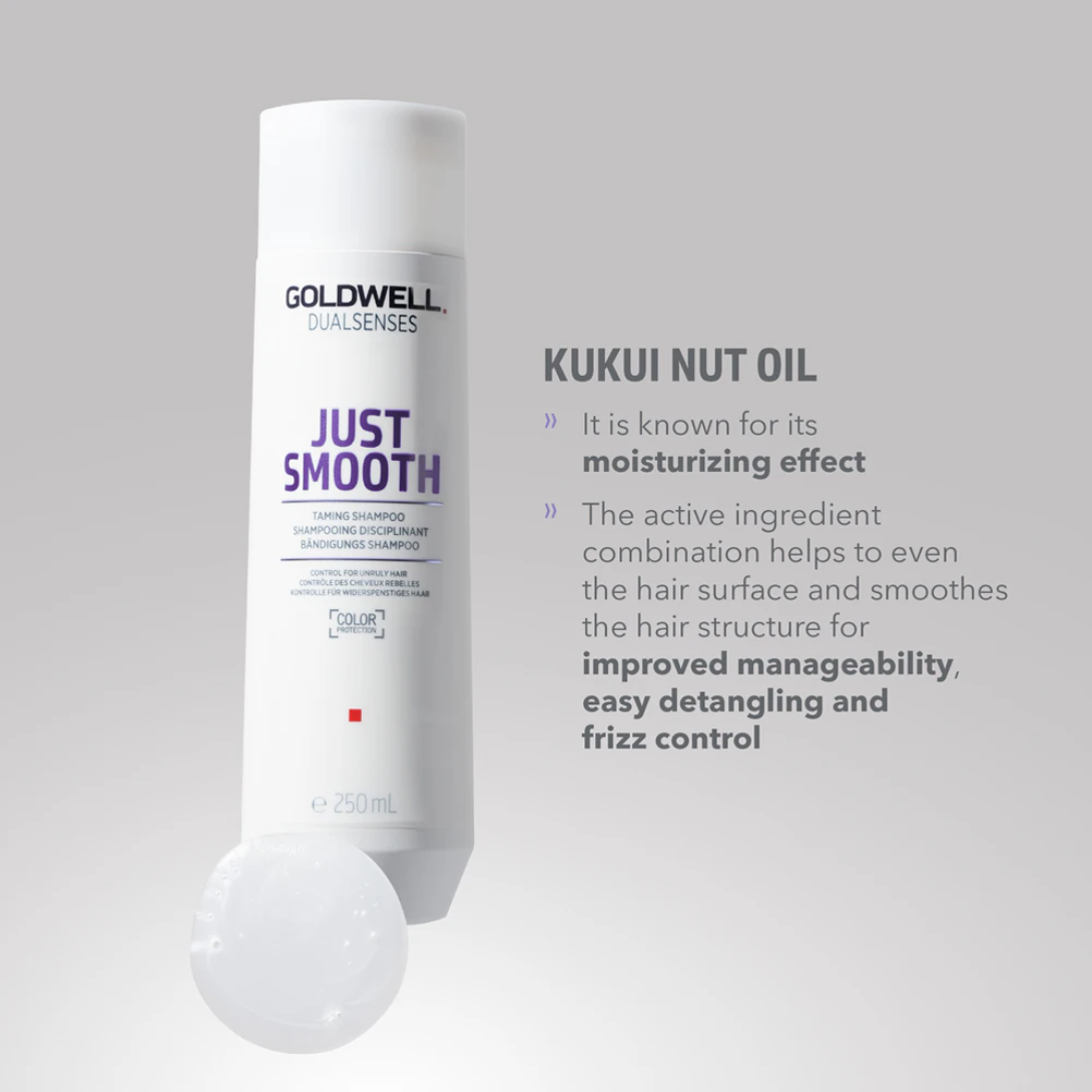 Goldwell Dualsenses Just Smooth Shampoing Disciplinant