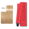 60 ml / 9,5-4 Beige